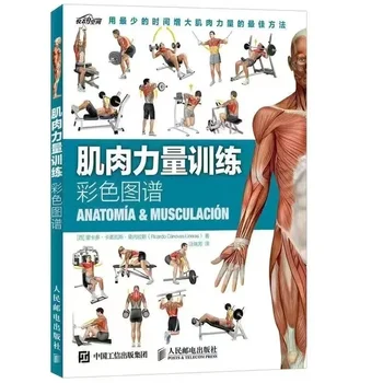 Цветна карта на тренировки за мускулна сила, книга за тренировки стречинг упражнения, карта за тренировки на мускулите, книга за намаляване на мазнините и увеличаване на мускулната маса