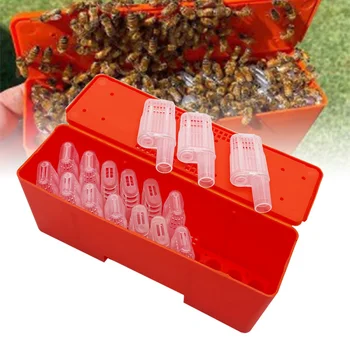 Инструменти за пчеларството, Кутия за транспортиране на пчелния на матката С маточными клетки, Съоръжения за отглеждане на Маточните клетки, Пластмасов инкубатор, Инструменти за пчеларя
